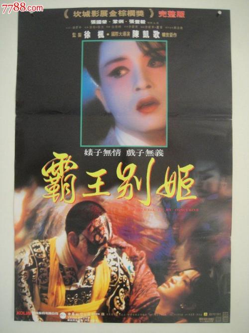哪里能买到荷兰驾驶证